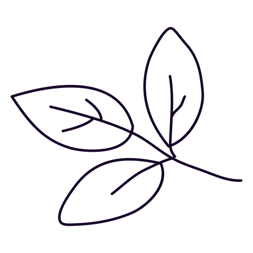 Three leaves doodle - Transparent PNG & SVG vector file