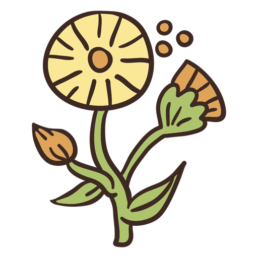 Yellow flower illustration - Transparent PNG & SVG vector file