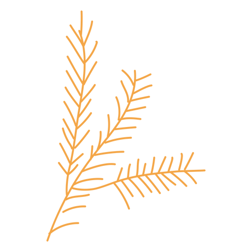 Desenho do ramo de conífera de outono Desenho PNG