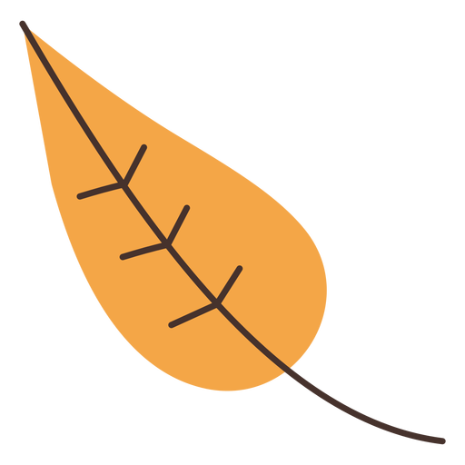 Autumn leaf cartoon PNG Design