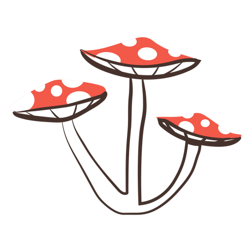 Forest mushrooms cartoon Transparent PNG & SVG vector file