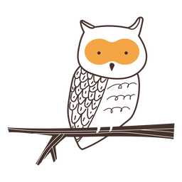 Coruja pássaro desenho animado coruja Desenho PNG