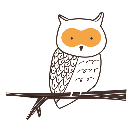 Owl bird cartoon owl