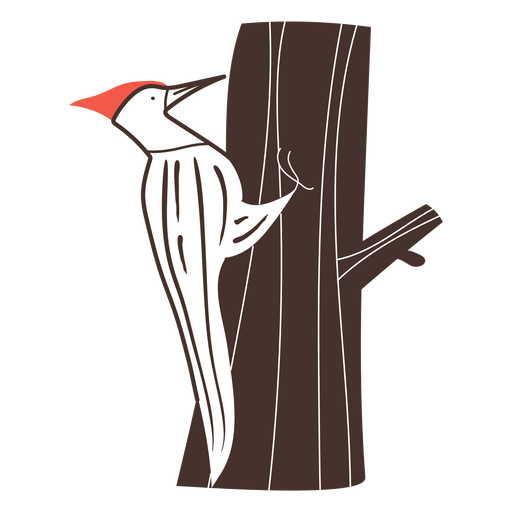 Desenho de pássaro pica-pau Desenho PNG