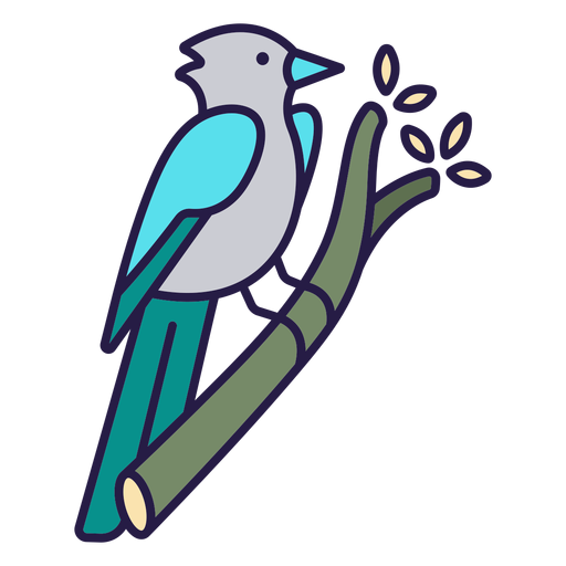 Blue jay bird flat PNG Design