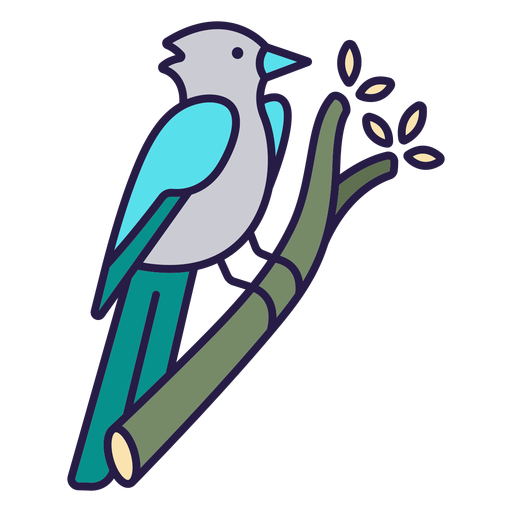 Blue Jay Bird Flat Desenho PNG