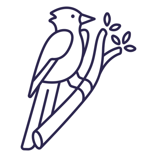 Blue Jay png images