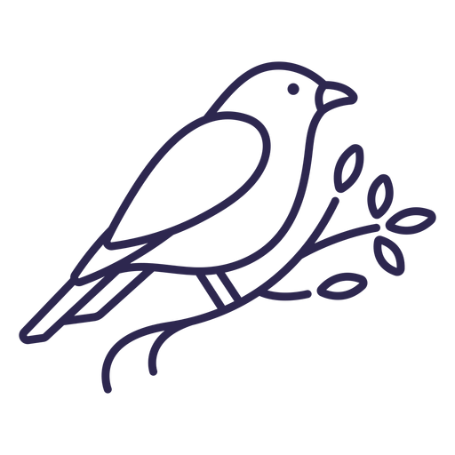 Kanarischer Vogelschlag PNG-Design