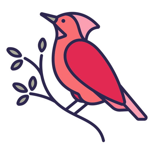 Cardinal bird flat Desenho PNG