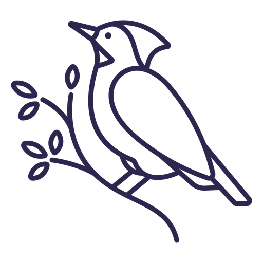 Cardinal bird stroke PNG Design