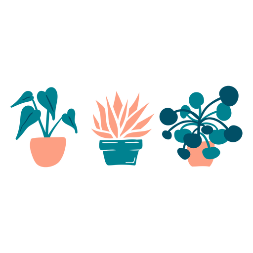 Lindas plantas de interior planas