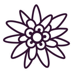 Edelweiss flower stroke PNG Design