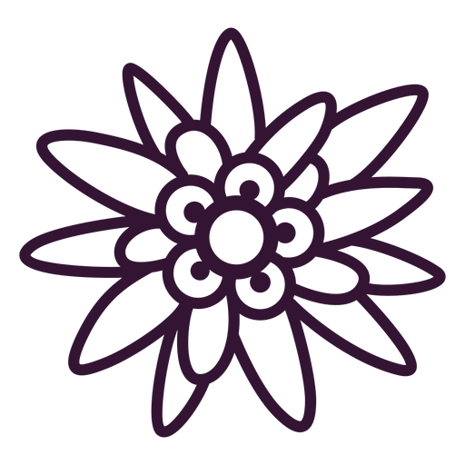 Download Edelweiss flower stroke - Transparent PNG & SVG vector file