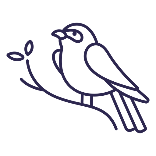 Traço de pássaro rabo-índigo Desenho PNG