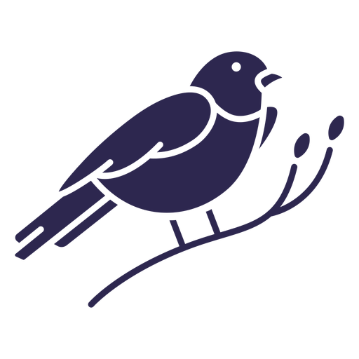Bergdrosselvogel schwarz PNG-Design