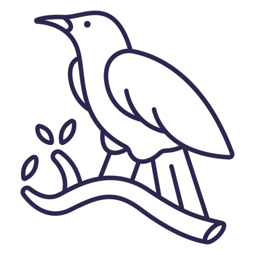 Trazo de pájaro tangara escarlata Diseño PNG