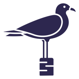 Pássaro gaivota preto Desenho PNG