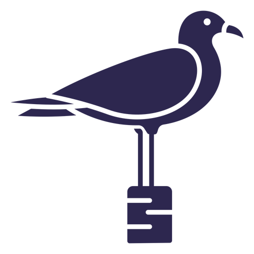 Seagull bird black PNG Design