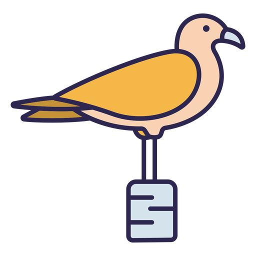 Seagull bird flat PNG Design