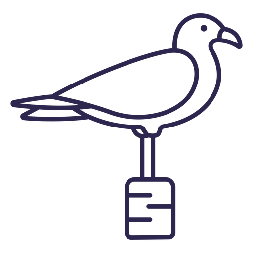 Seagull bird stroke PNG Design