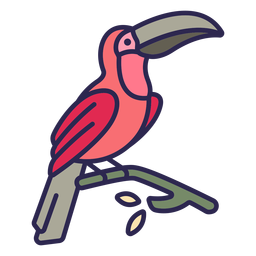 Pájaro tucán plano Diseño PNG