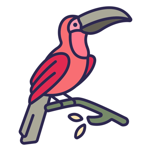 Toucan bird flat PNG Design