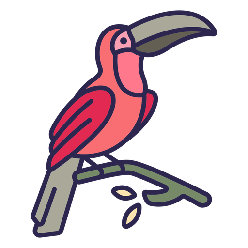 Toucan bird flat Desenho PNG