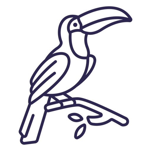 Percurso de pássaro tucano Desenho PNG