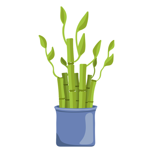 Bambusglückspflanze stellte blaue Illustration ein PNG-Design