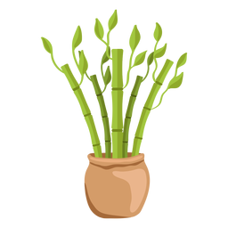 Ilustración de conjunto de planta de la suerte de bambú Diseño PNG