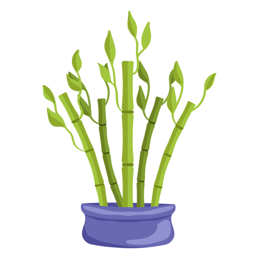 Bambusglückspflanze stellte lila Illustration ein PNG-Design