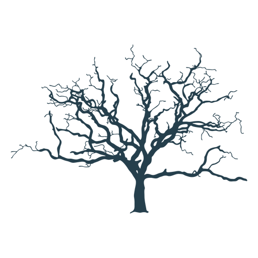 Bare Tree Complex Stroke Transparent Png Svg Vector File