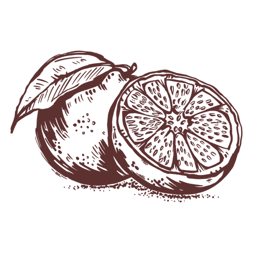 Früchte Grapefruit in Scheiben geschnitten Hand gezeichnet PNG-Design