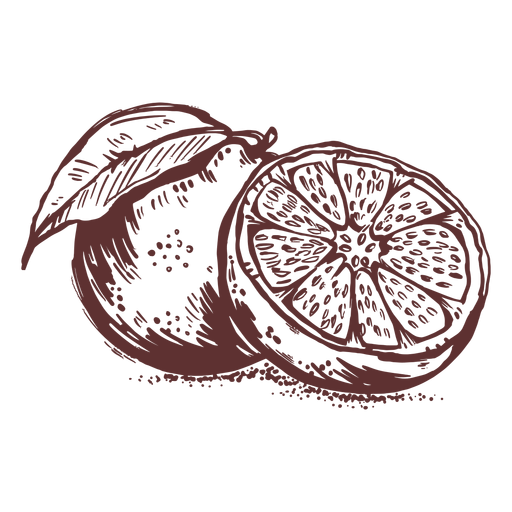 Frutas toranja fatiadas à mão Desenho PNG