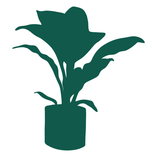 Planta simple hojas gruesas hojas largas silueta Diseño PNG