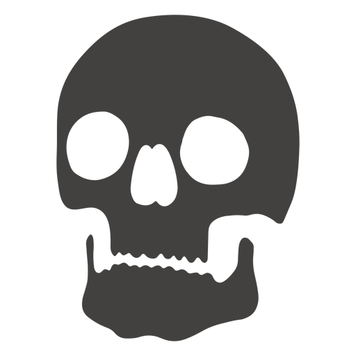 Skull human visible teeth left facing