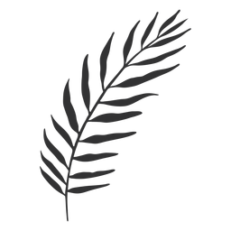 Silhueta de coqueiro de folhas tropicais Desenho PNG