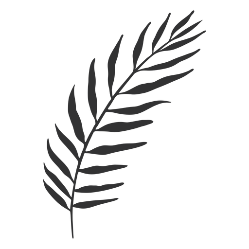Tropische Blätter Kokospalmenschattenbild PNG-Design