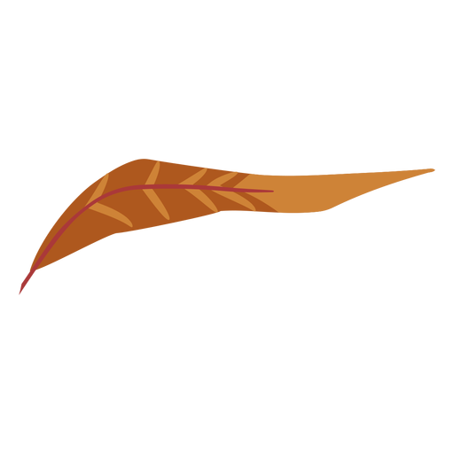 Pluma de color marrón boho Diseño PNG