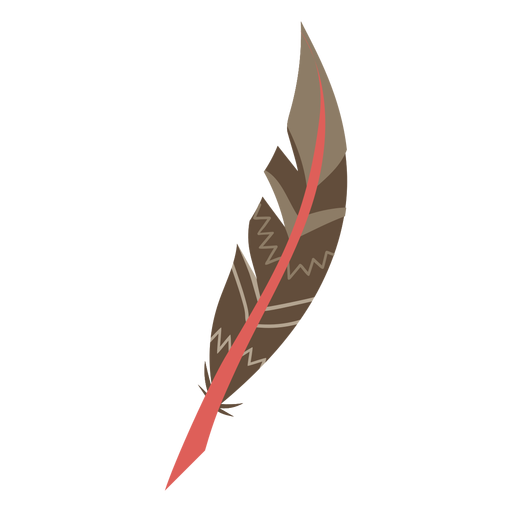 Boho colored feather