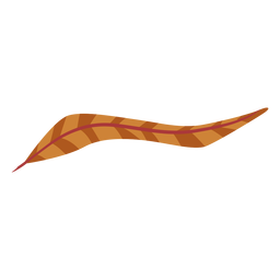 Pena listrada Boho Desenho PNG