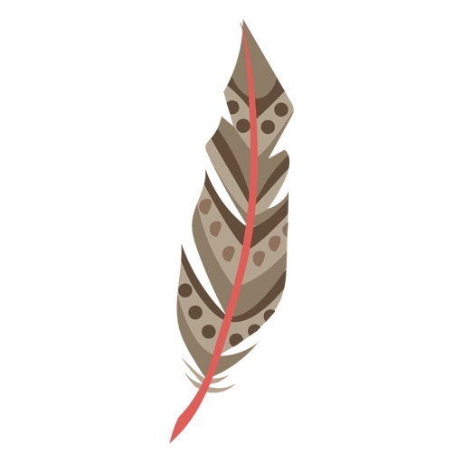 Circles brown feather illustration