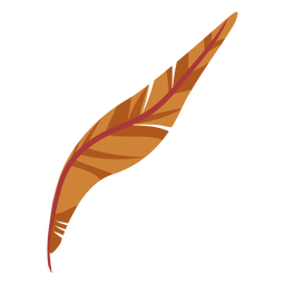 Curvy brown feather PNG Design