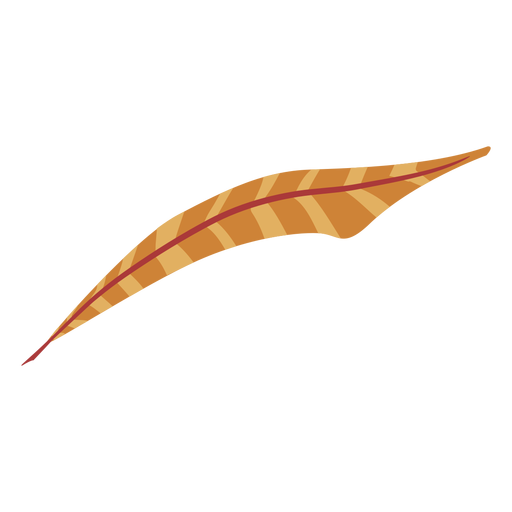 Pluma de color marrón a rayas Diseño PNG
