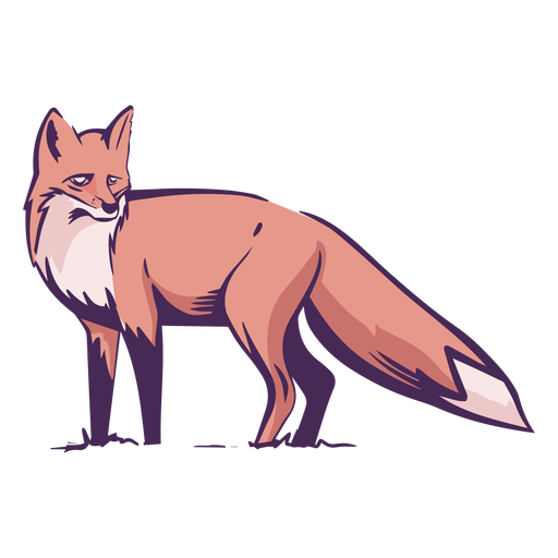 Fox side view colored - Transparent PNG & SVG vector file