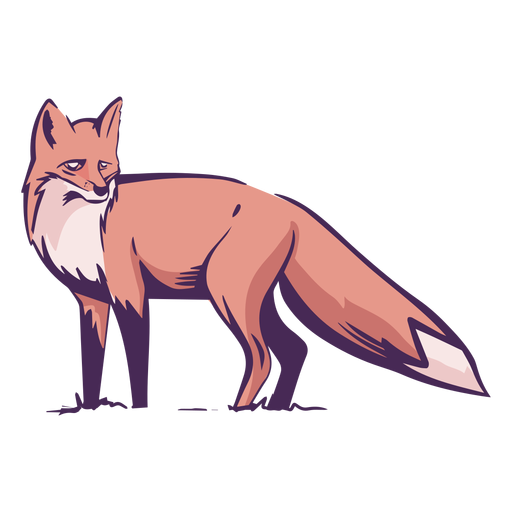 Vista lateral da raposa colorida Desenho PNG