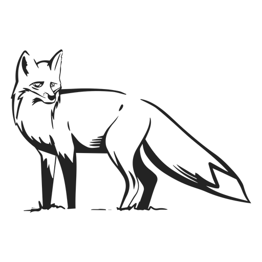 Fox side view drawn - Transparent PNG & SVG vector file