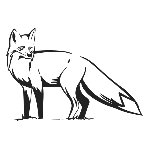 Vista lateral de raposa desenhada