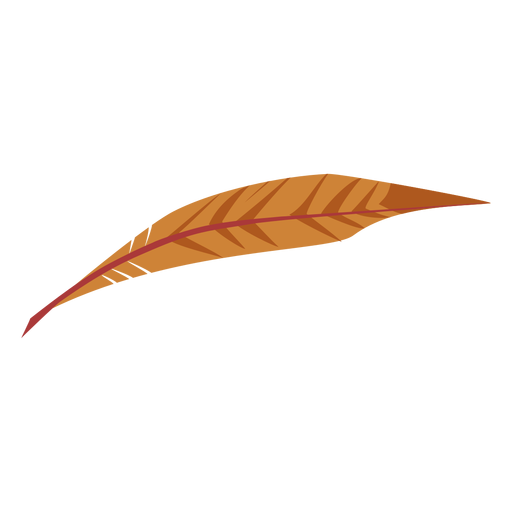 Leaf like brown colored feather PNG Design