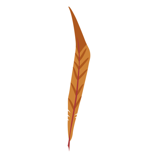 Long brown colored feather PNG Design